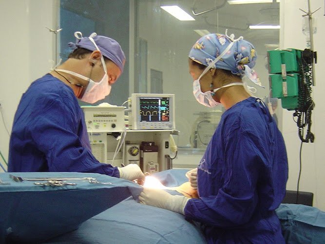 Carlos Eduardo Vélez Echeverry